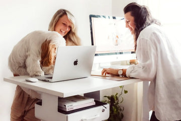 UpDown Standing Desk Review by Pretty Fluffy