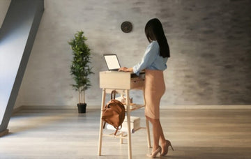 heel pain standing desk