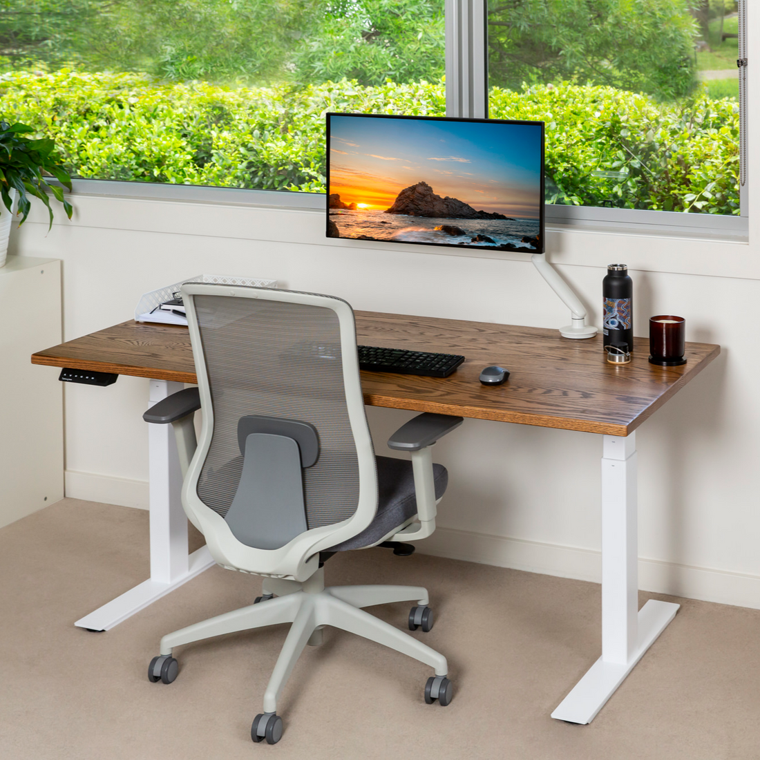 PRO+ Series American Oak Standing Desks