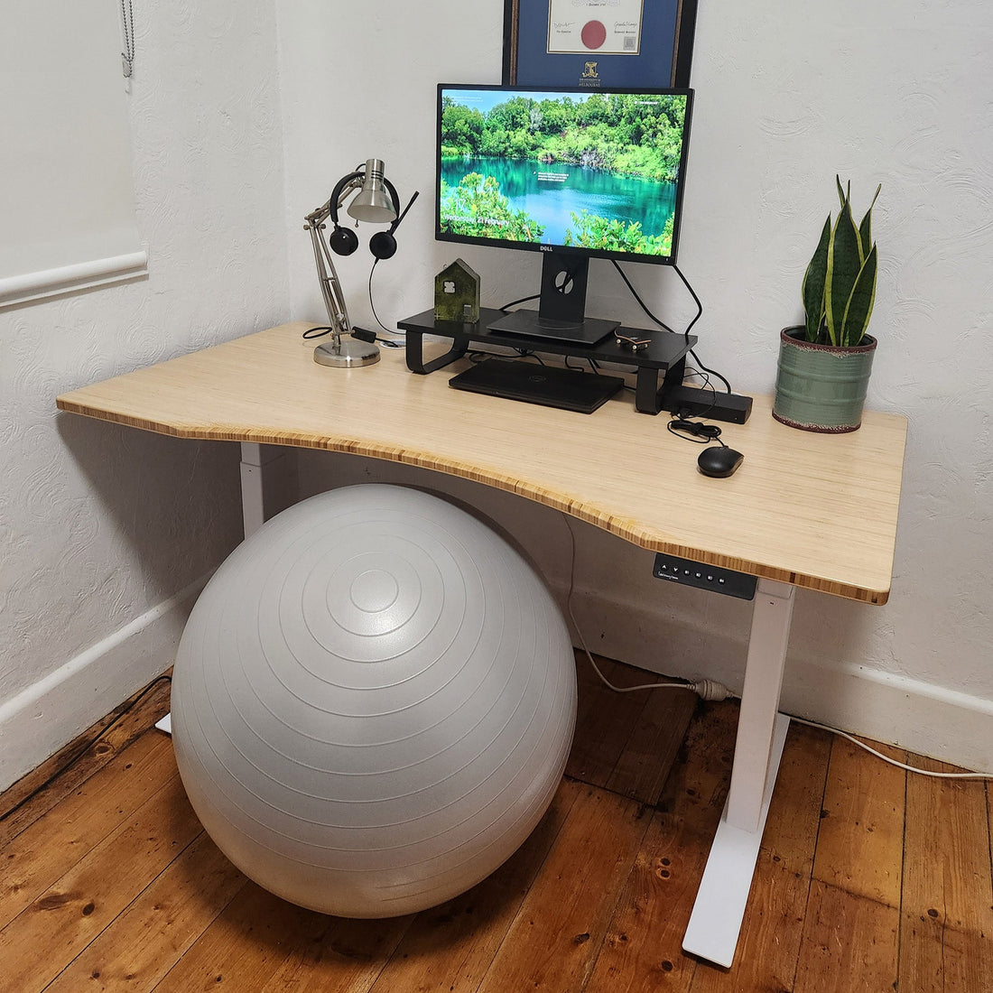 Customer's Ergo Bamboo Standing Desk