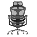 Sihoo Pro Ergonomic Office Chair
