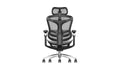 Sihoo A3 DORO-C300 Pro Ergonomic Office Chair - SIHOO AustraliaSihoo A3 DORO-C300 Pro Ergonomic Office Chair