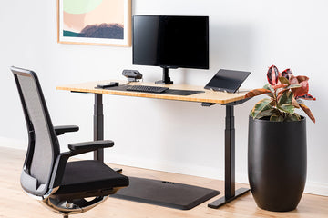 The Ultimate Standing Desk Buying Guide (2026)