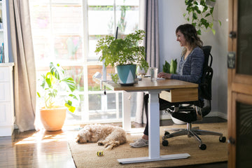 standing desk vs ergonomic chair