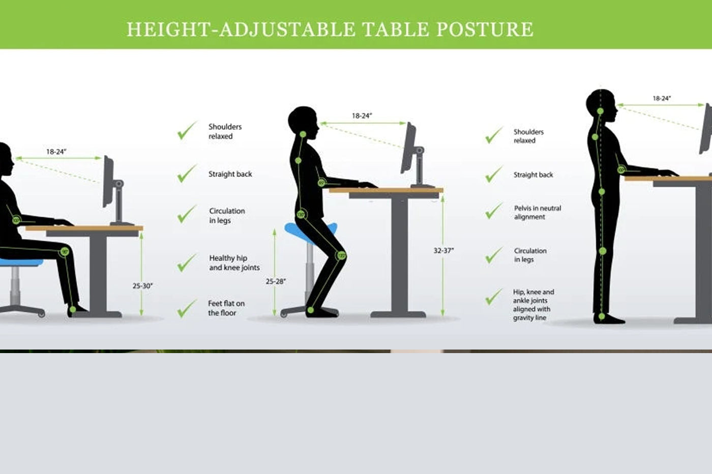 Finding the Perfect Fit: All You Need to Know Before Purchasing a Standing Desk
