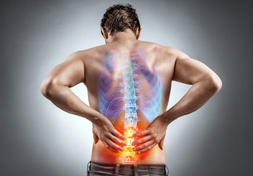 How to Work From Home Without Experiencing Low Back Pain