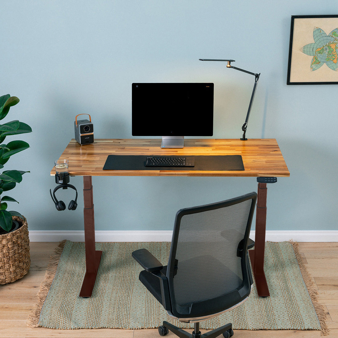 PRO+ Acacia Standing Desk