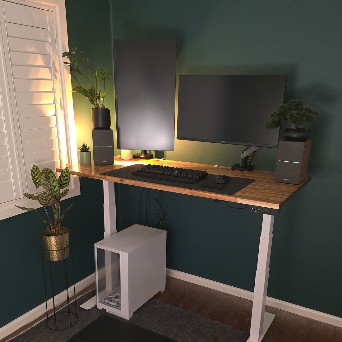 PRO Series Acacia Standing Desk