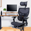 UpDown Ergo Elite Chair