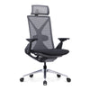 UpDown Ergo ProFlex Chair
