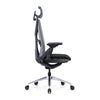 UpDown Ergo ProFlex Chair