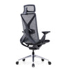 UpDown Ergo ProFlex Chair