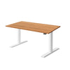 KLIK Recycled Messmate Standing Desk