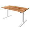 KLIK Recycled Messmate Standing Desk