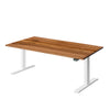 KLIK Recycled Messmate Standing Desk