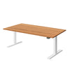 KLIK Recycled Messmate Standing Desk