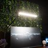 UpDown LED Desk Lamp
