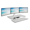 Standesk Pro Memory Electric Sit Stand Workstation