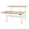 PRO+ Back to Back Standing Desk