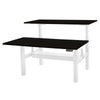 PRO+ Back to Back Standing Desk