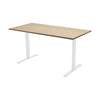 Fixed Melamine Desk