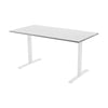 Fixed Melamine Desk
