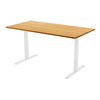 Fixed Melamine Desk