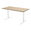 Fixed Melamine Desk