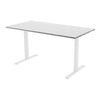 Fixed Melamine Desk