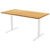 Fixed Melamine Desk