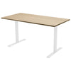 Fixed Melamine Desk