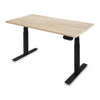 PRO+ Melamine Standing Desk