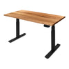 PRO+ Recycled Messmate Standing Desk