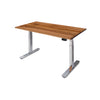 PRO+ Recycled Messmate Standing Desk