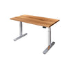 PRO+ Recycled Messmate Standing Desk