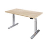PRO+ Melamine Standing Desk