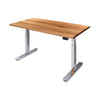 PRO+ Recycled Messmate Standing Desk