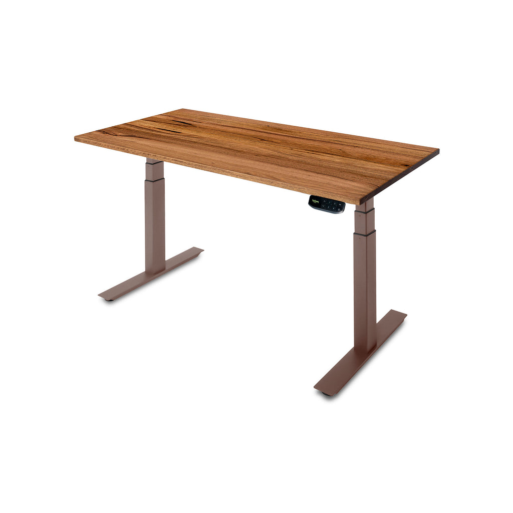 PRO+ Recycled Messmate Standing Desk