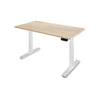 PRO+ Melamine Standing Desk