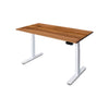 PRO+ Recycled Messmate Standing Desk