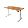 PRO+ Recycled Messmate Standing Desk