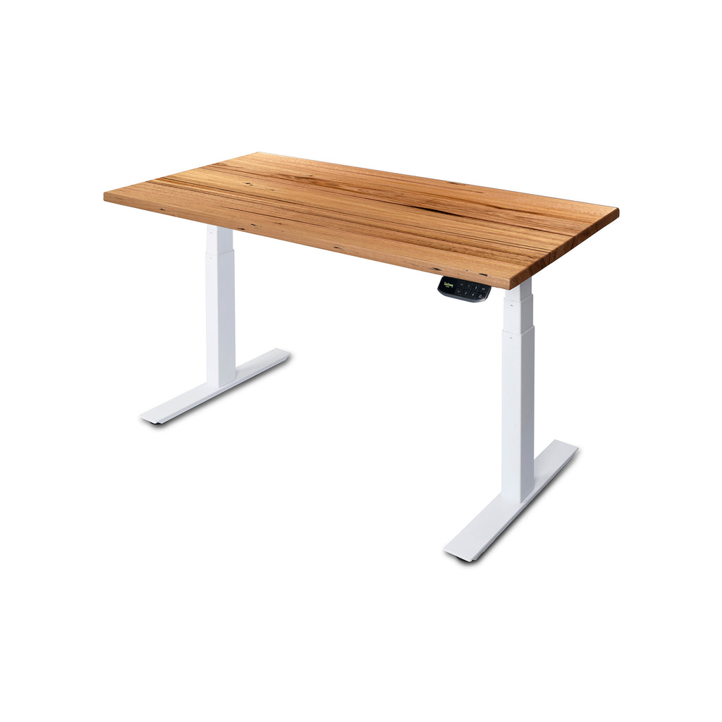 PRO+ Recycled Messmate Standing Desk