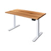 PRO+ Recycled Messmate Standing Desk