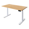 PRO+ Melamine Standing Desk