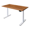 PRO+ Recycled Messmate Standing Desk