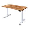 PRO+ Recycled Messmate Standing Desk