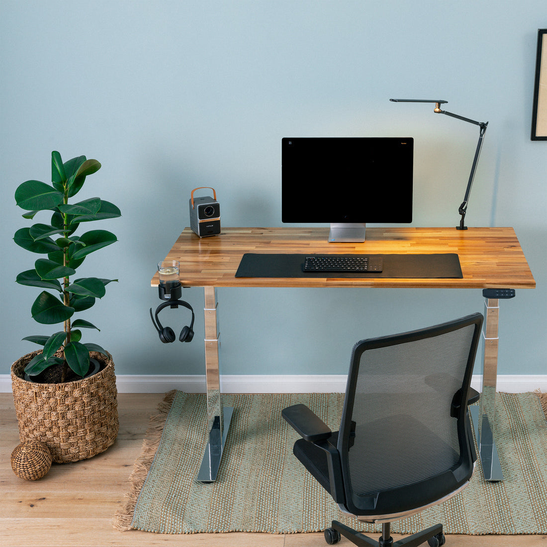 PRO+ Series Acacia Standing Desk
