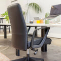 Plato Ergonomic Chair