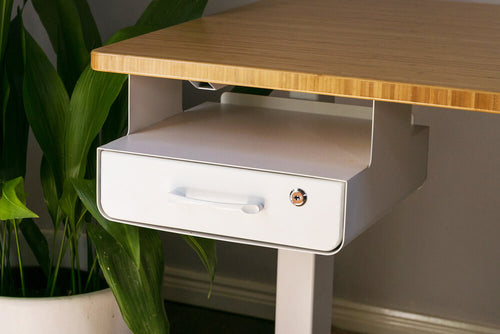 Standing & Stand Up Desk Accessories | UpDown Desk
