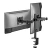 UpDown Monitor Mount Dual